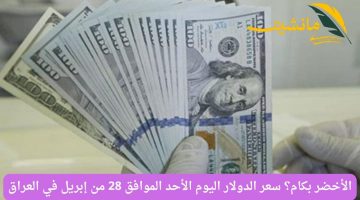 الأخضر بكام؟ سعر الدولار اليوم الأحد الموافق 28 من إبريل في العراق
